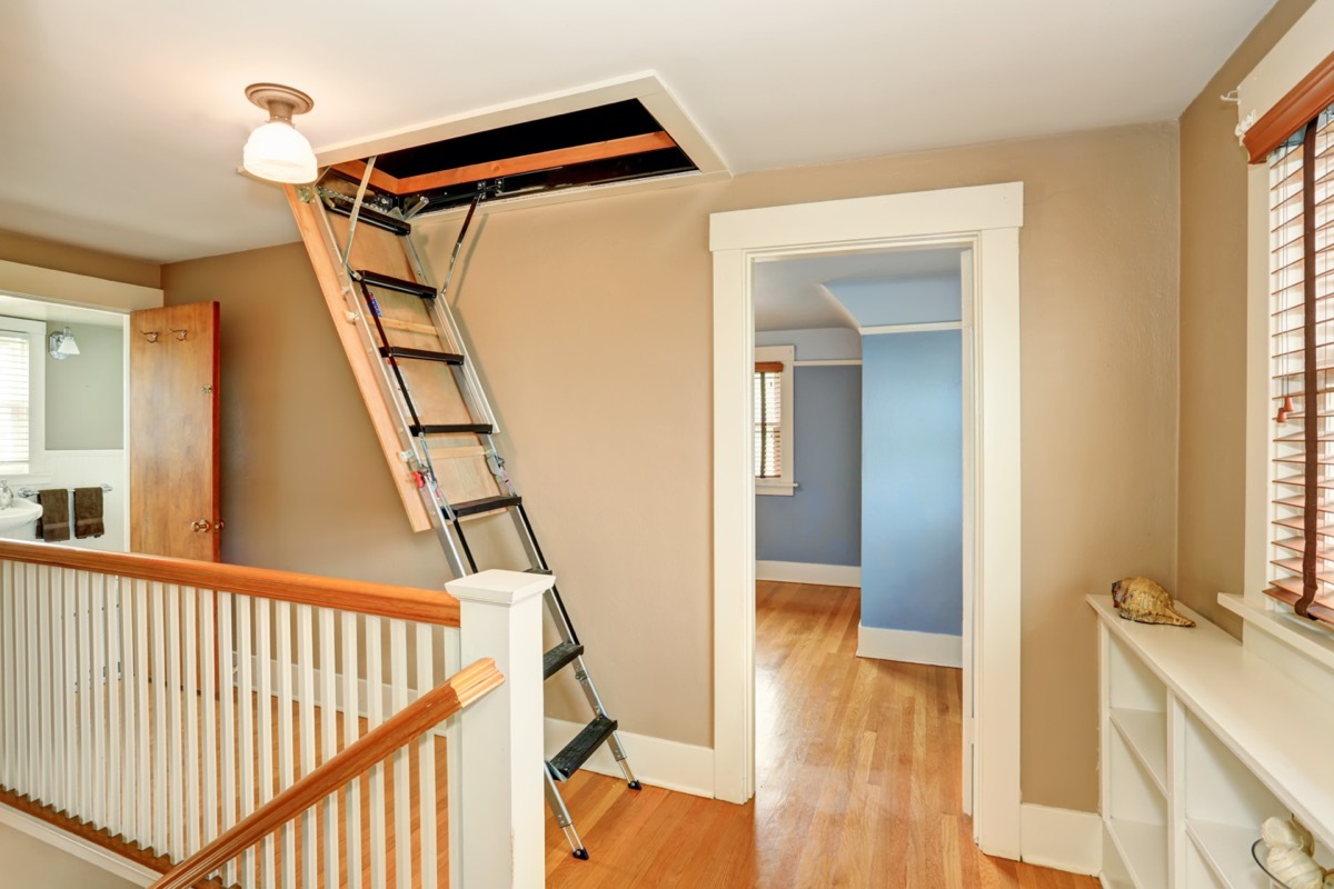 Hallway interior with folding attic ladder.