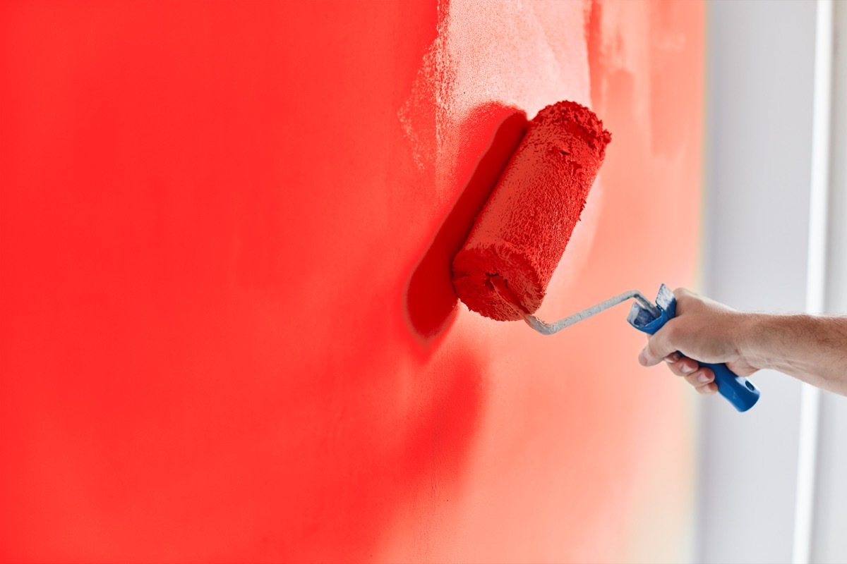 Male hand painting wall with paint roller. Painting apartment, renovating with red color paint.