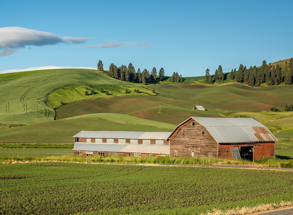 Country farm