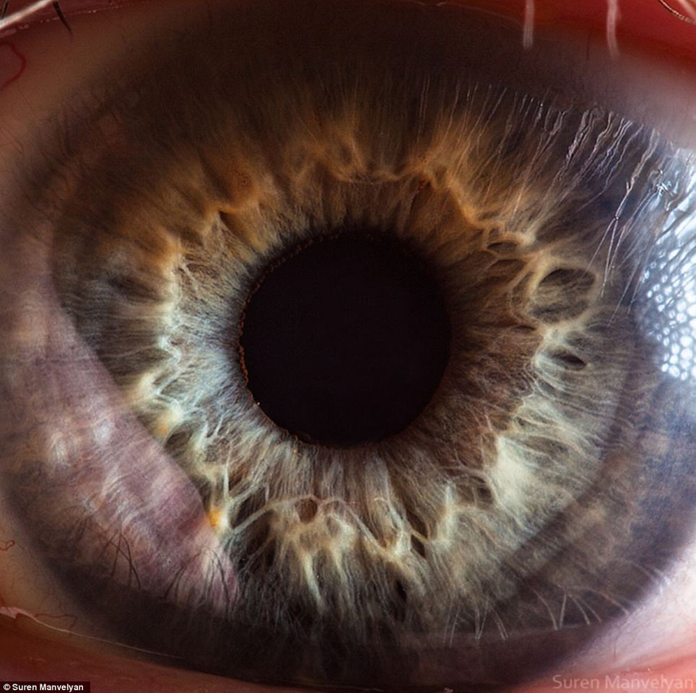 extreme-closeups-of-human-eyes-are-creepy-but-stunning-07