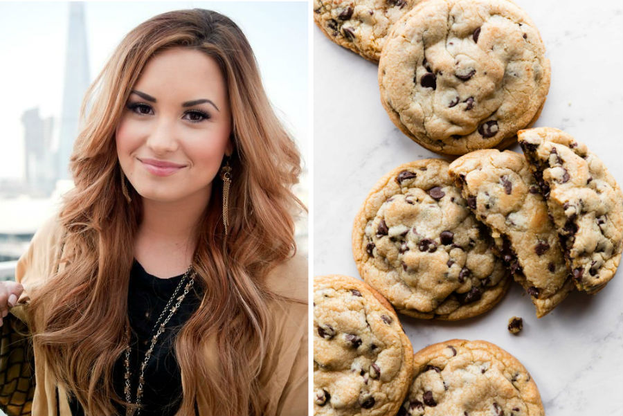 Demi Lovato's Favorite Food | 14 Facts About Demi Lovato You Probably Didn't Know | Her Beauty