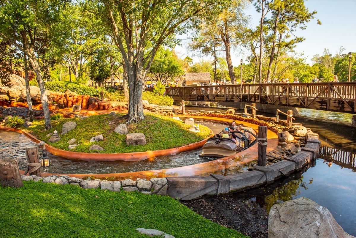 Trees surround Disney's Splash mountain ride on sunny day, Disney facts