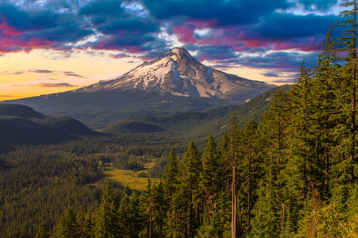 mt hood national forest