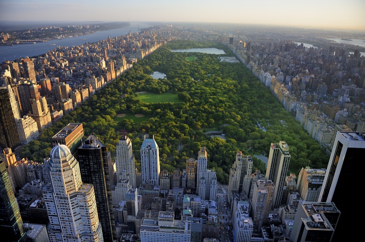 New York's Central Park