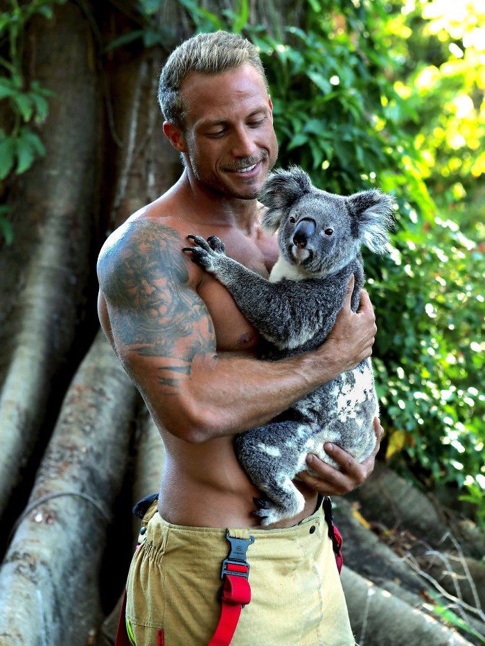 Little koala rumpus| Hot Aussie Firefighters and Animals In 2020 Charity Calendar Melt Our Hearts | Her beauty