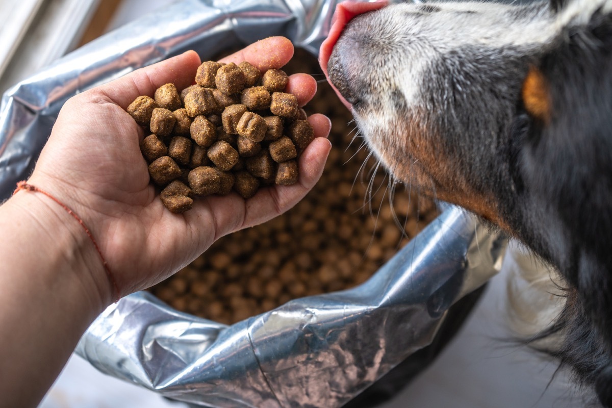 person putting hand into bag of dog food