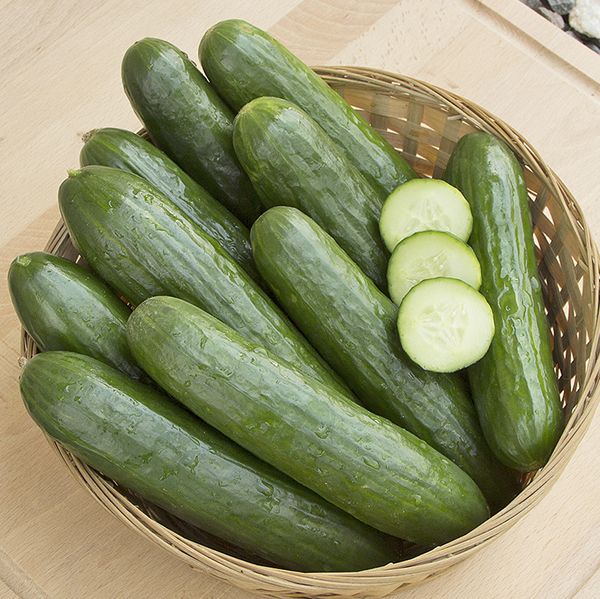 Image result for cucumber