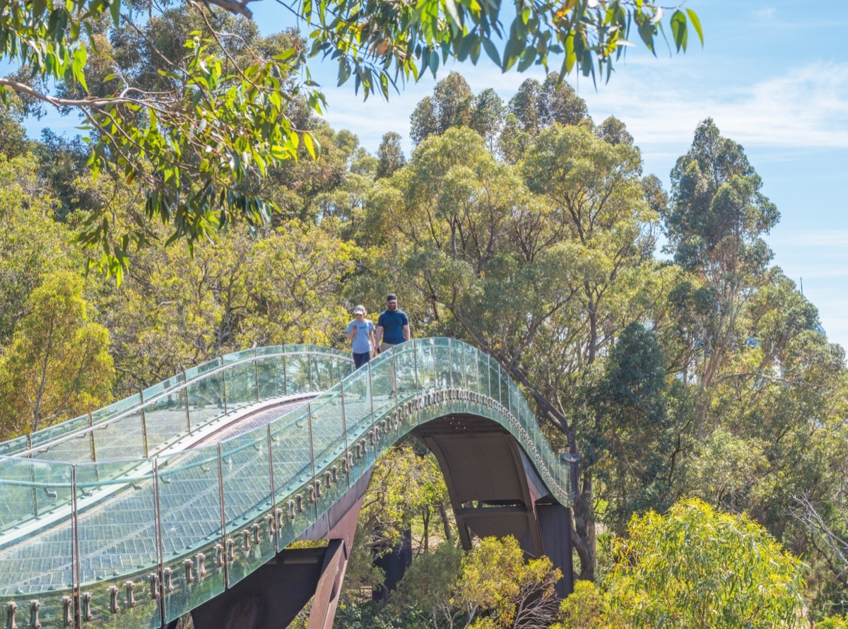 kings park and botanic garden